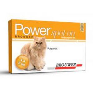 Power spot on gatos de 4-8 kg